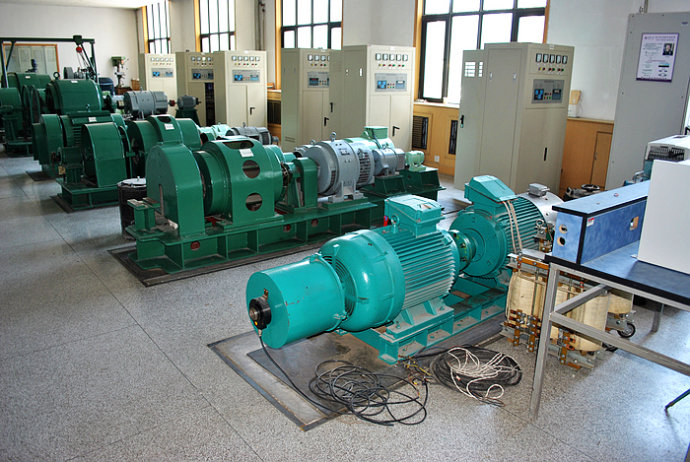 陆河某热电厂使用我厂的YKK高压电机提供动力