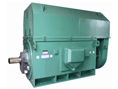 陆河Y系列6KV高压电机